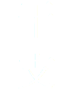 干 支